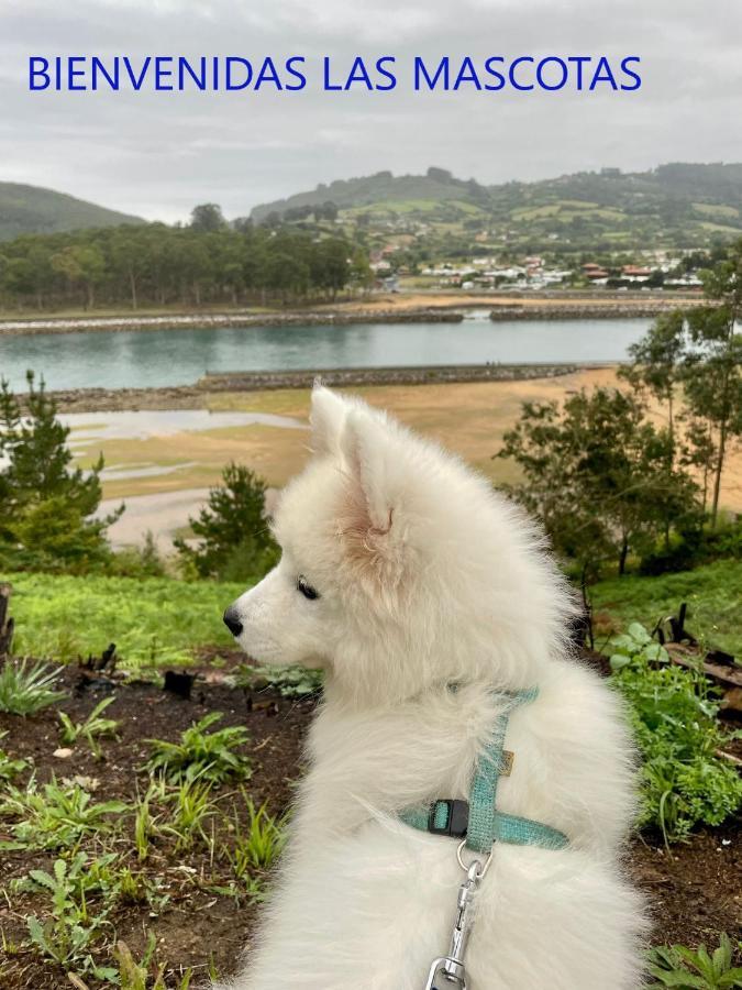 Playa Del Puntal Villaviciosa Asturias Lujo Primera Linea Playa Eksteriør billede